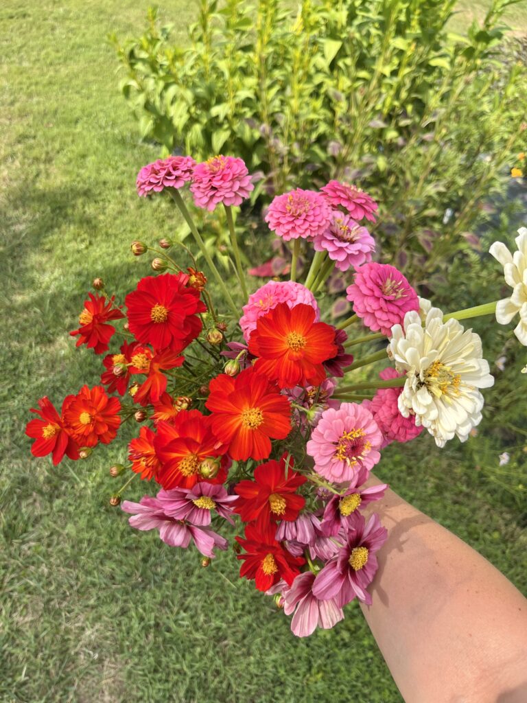 Tried and True Flower Varieties